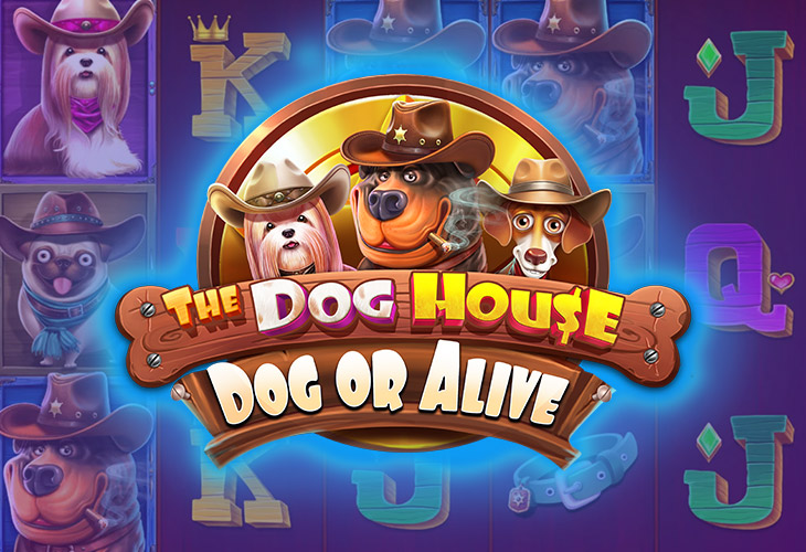 The Dog House — Dog or Alive The Dog House — Dog or Alive