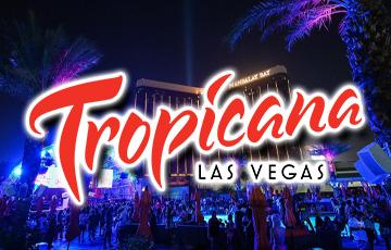 После закрытия казино Tropicana в Лас-Вегасе сотрудники ищут новый дом местным кошкам
